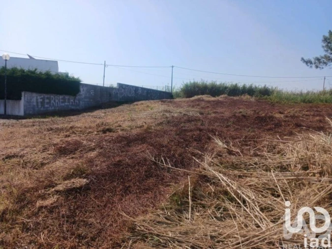 Terreno para Venda em Lourinhã e Atalaia Foto 5