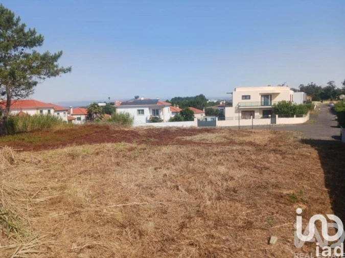 Terreno para Venda em Lourinhã e Atalaia Foto 11