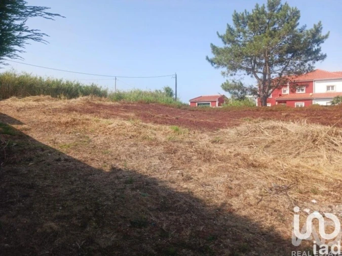 Terreno para Venda em Lourinhã e Atalaia Foto 13
