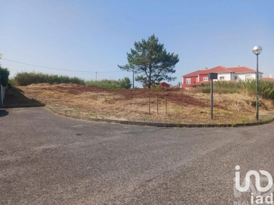 Terreno para Venda em Lourinhã e Atalaia Foto 1