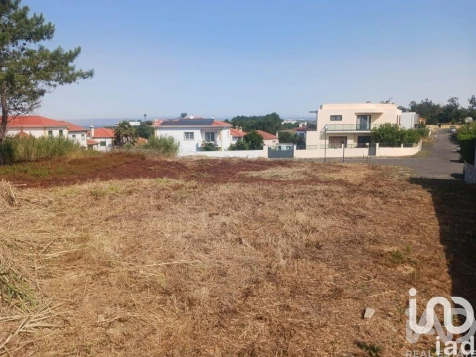 Terreno para Venda em Lourinhã e Atalaia Foto 10