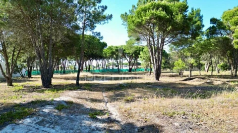Terreno para Venda em Sesimbra (Castelo)