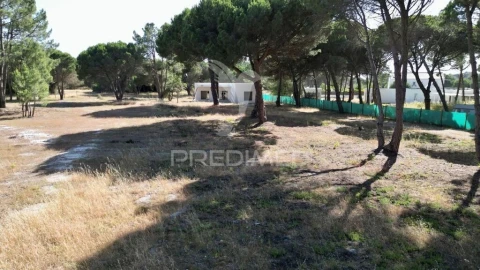 Terreno para Venda em Sesimbra (Castelo)