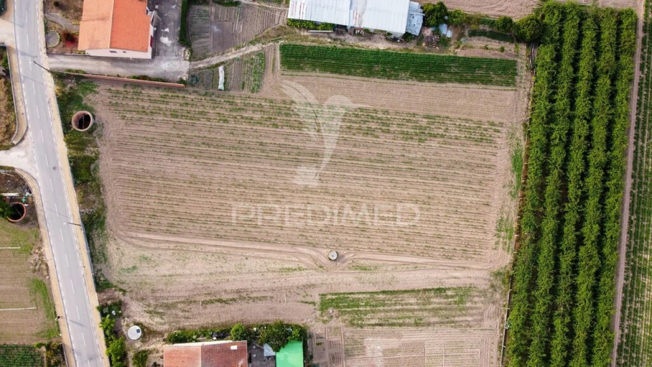 Terreno para Venda em Sepins e Bolho Foto 8