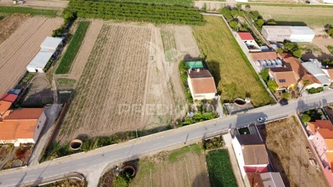 Terreno para Venda em Sepins e Bolho