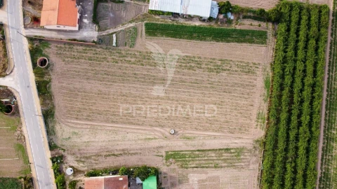 Terreno para Venda em Sepins e Bolho