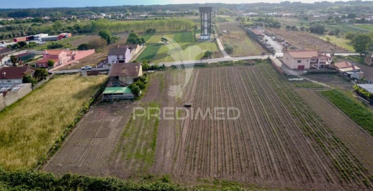 Terreno para Venda em Sepins e Bolho