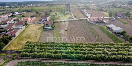 Terreno para Venda em Sepins e Bolho