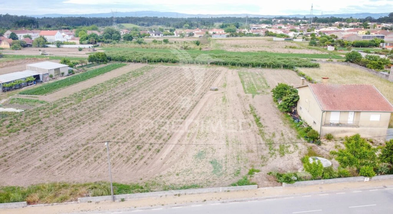 Terreno para Venda em Sepins e Bolho Foto 5