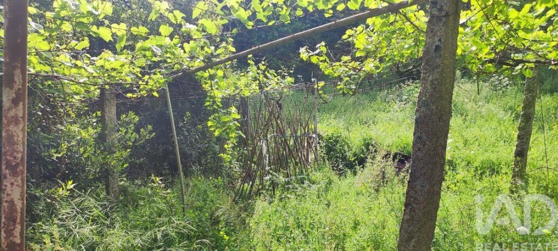 Moradia para Venda em Loivo Foto 23