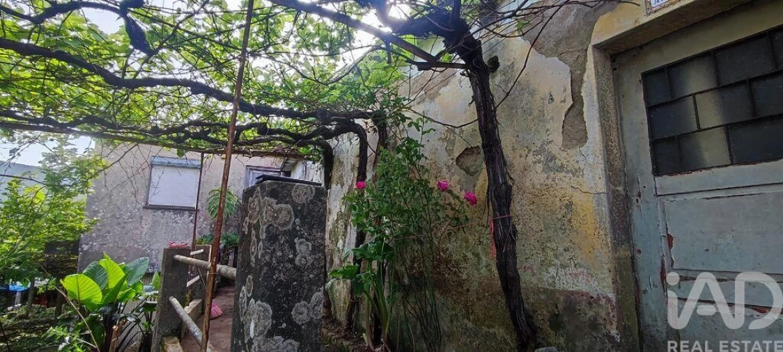 Moradia para Venda em Loivo Foto 4