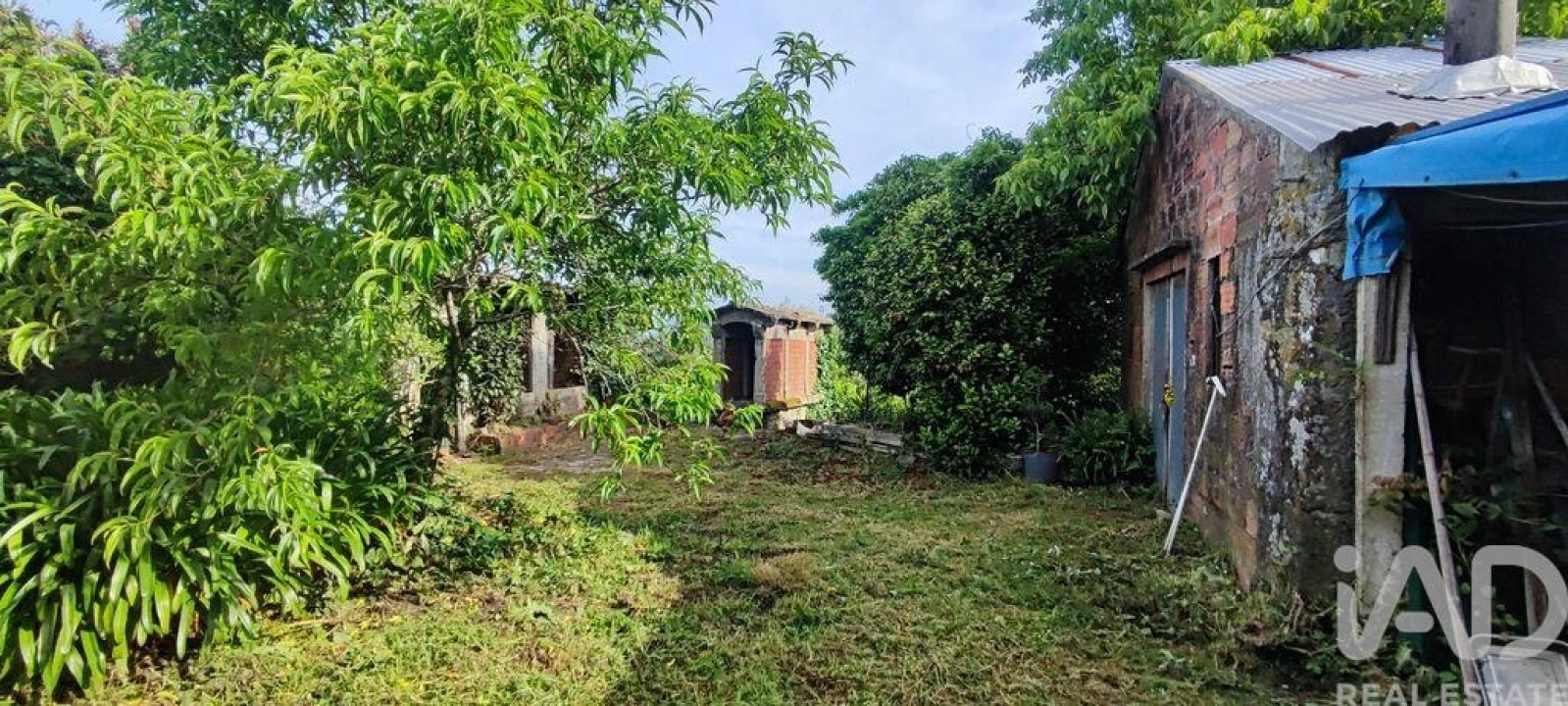 Moradia para Venda em Loivo Foto 3