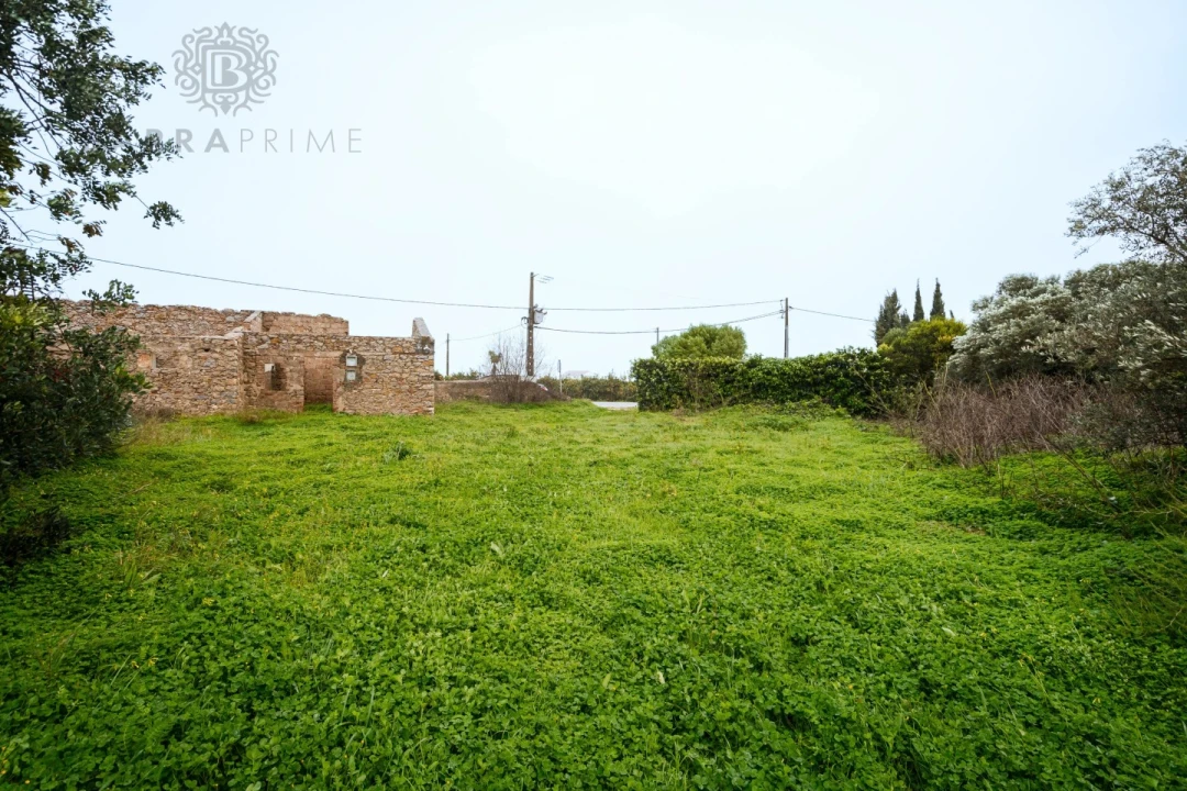 Terreno para Venda em Conceição e Estoi Foto 4