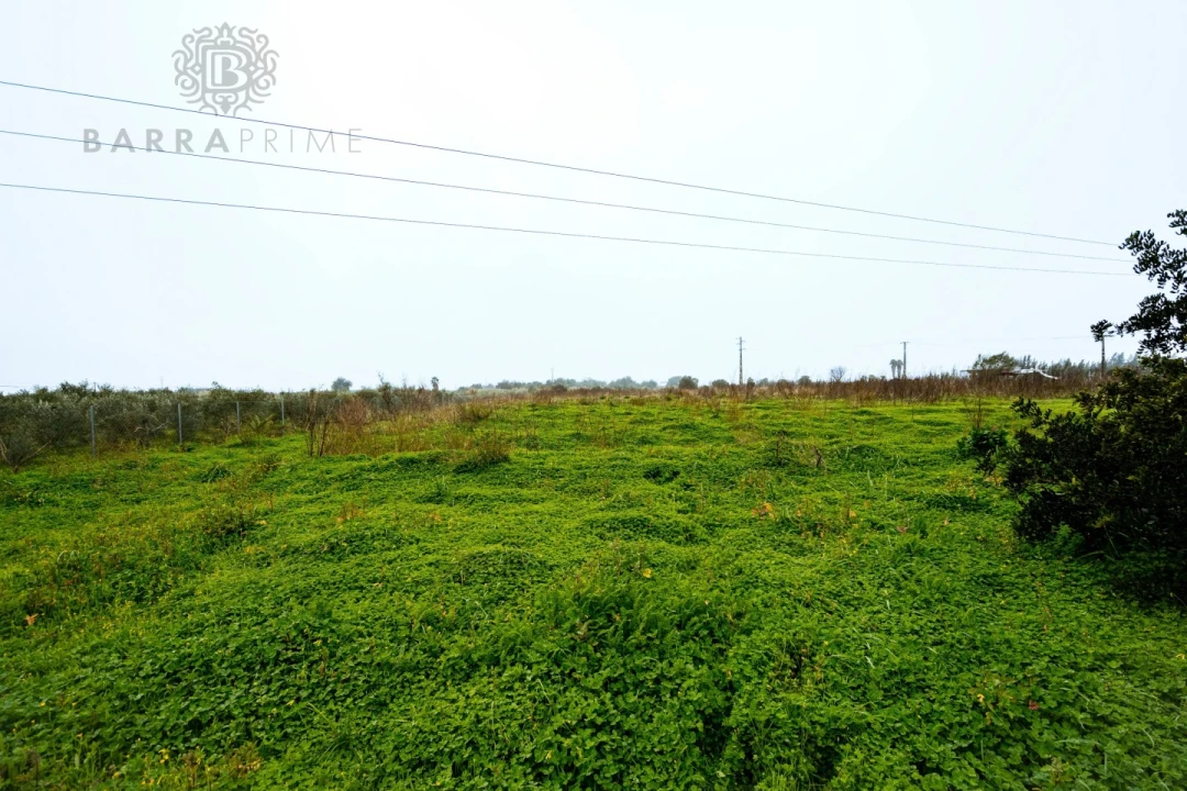 Terreno para Venda em Conceição e Estoi Foto 5