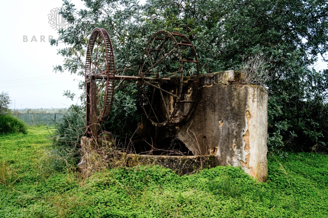 Terreno para Venda em Conceição e Estoi Foto 9