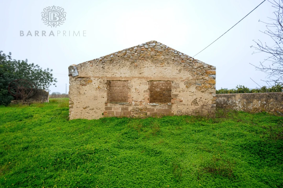 Terreno para Venda em Conceição e Estoi Foto 10