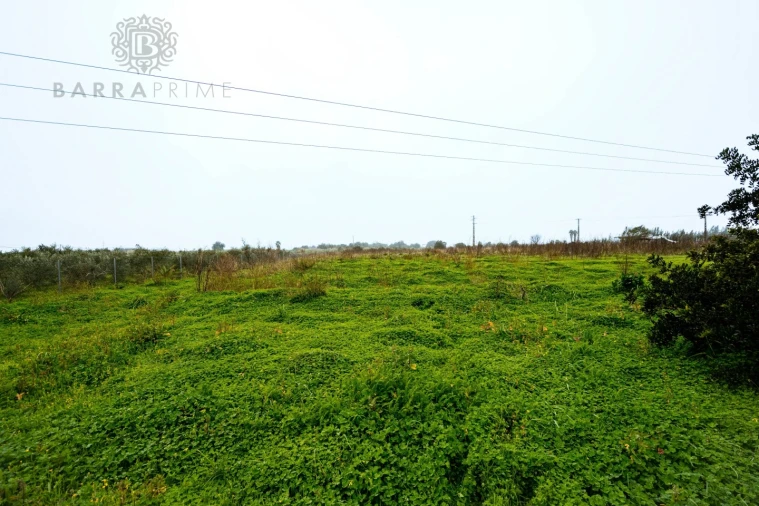 Terreno para Venda em Conceição e Estoi Foto 5