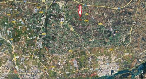 Terreno para Venda em Conceição e Estoi