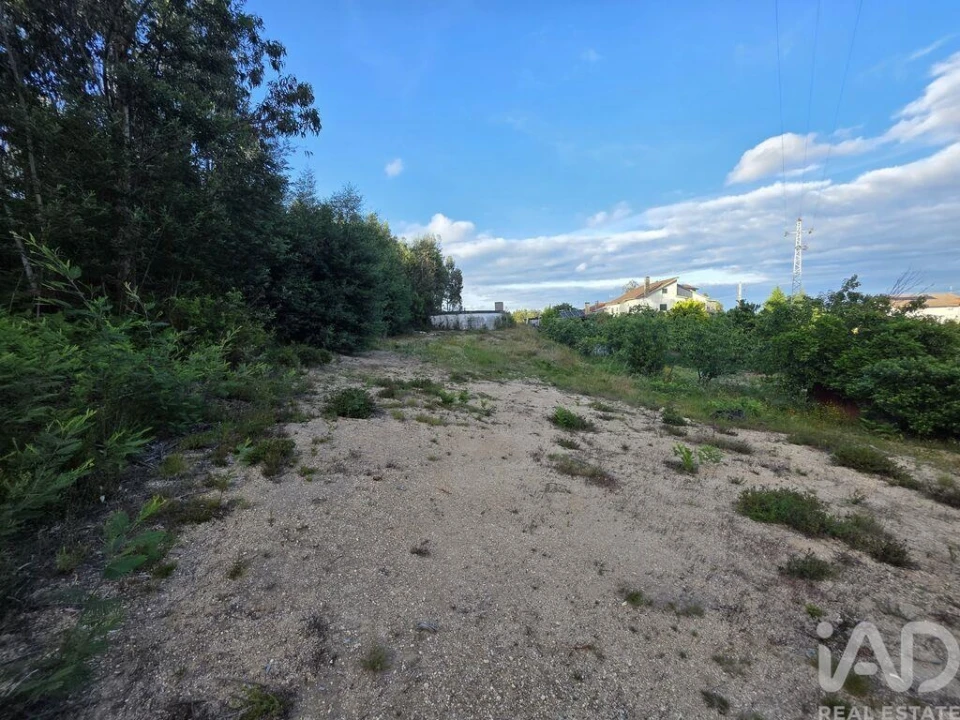 Terreno para Venda em Treixedo e Nagozela Foto 3