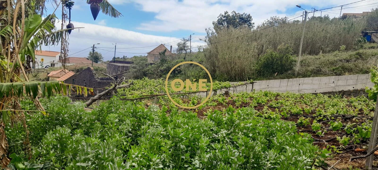 Moradia T3 para Venda em Caniço Foto 9