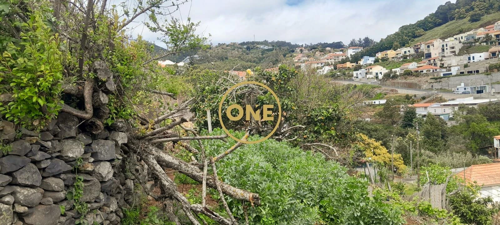Moradia T3 para Venda em Caniço Foto 5