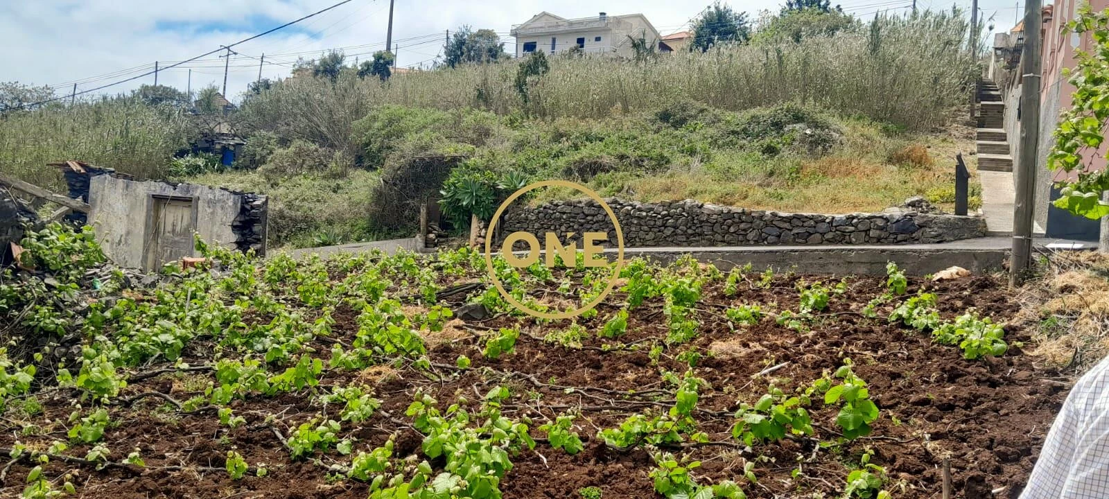 Moradia T3 para Venda em Caniço Foto 6