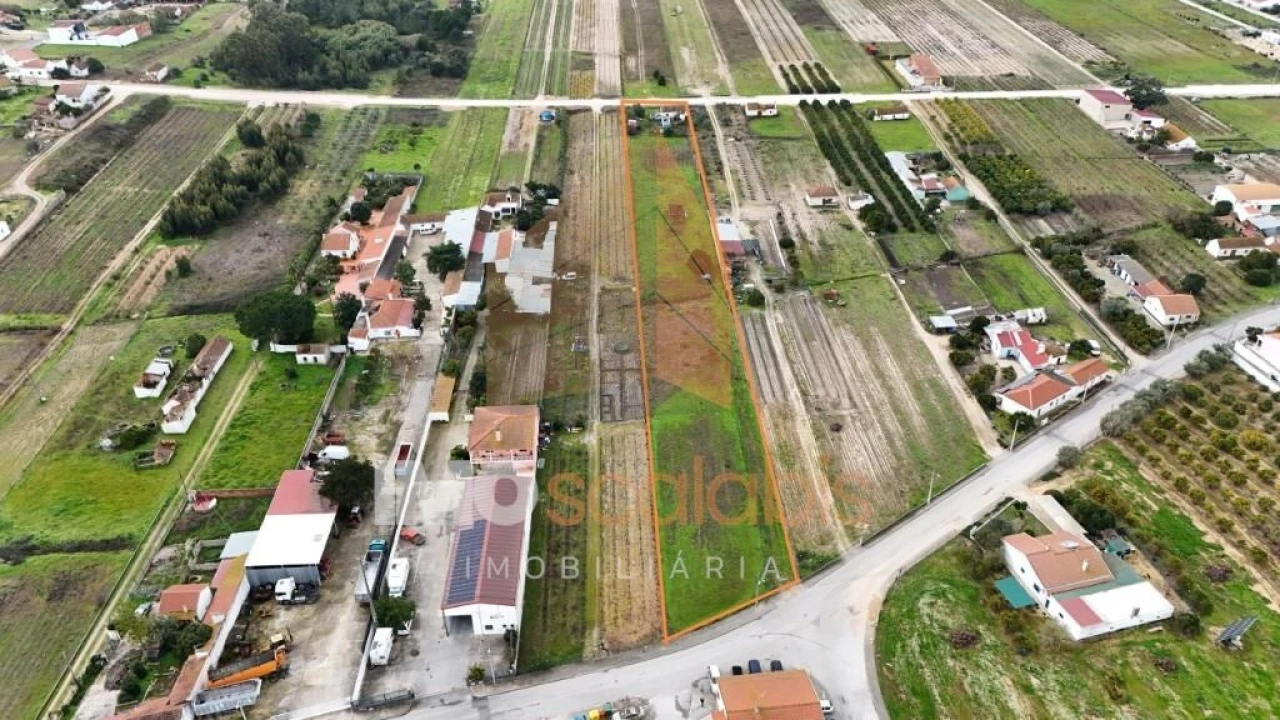 Terreno para Venda em Alpiarça Foto 14