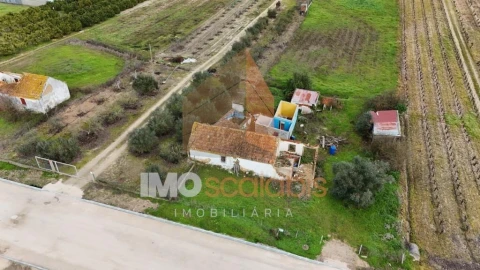 Terreno para Venda em Alpiarça