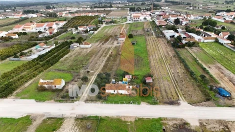 Terreno para Venda em Alpiarça