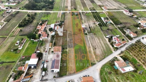 Terreno para Venda em Alpiarça