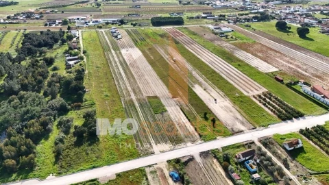 Terreno para Venda em Alpiarça
