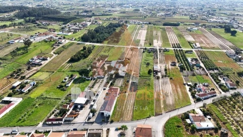 Terreno para Venda em Alpiarça