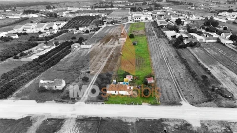 Terreno para Venda em Alpiarça