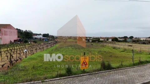 Terreno para Venda em Alpiarça