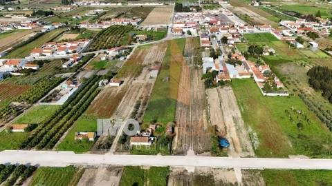Terreno para Venda em Alpiarça