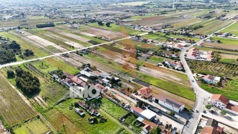 Terreno para Venda em Alpiarça