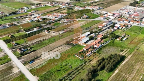 Terreno para Venda em Alpiarça