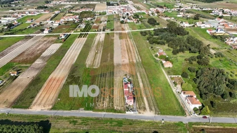 Terreno para Venda em Alpiarça