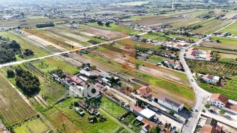 Terreno para Venda em Alpiarça