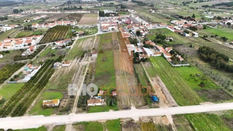 Terreno para Venda em Alpiarça