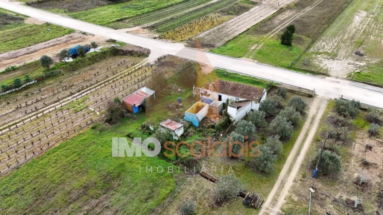 Terreno para Venda em Alpiarça Foto 6