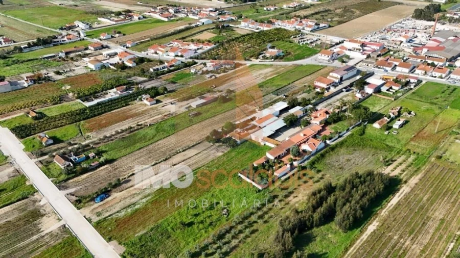 Terreno para Venda em Alpiarça Foto 7