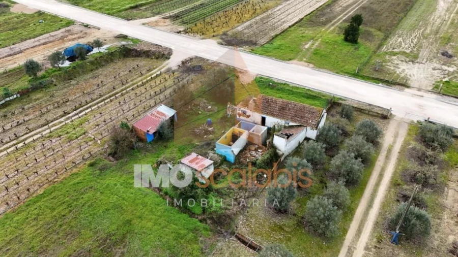 Terreno para Venda em Alpiarça Foto 7