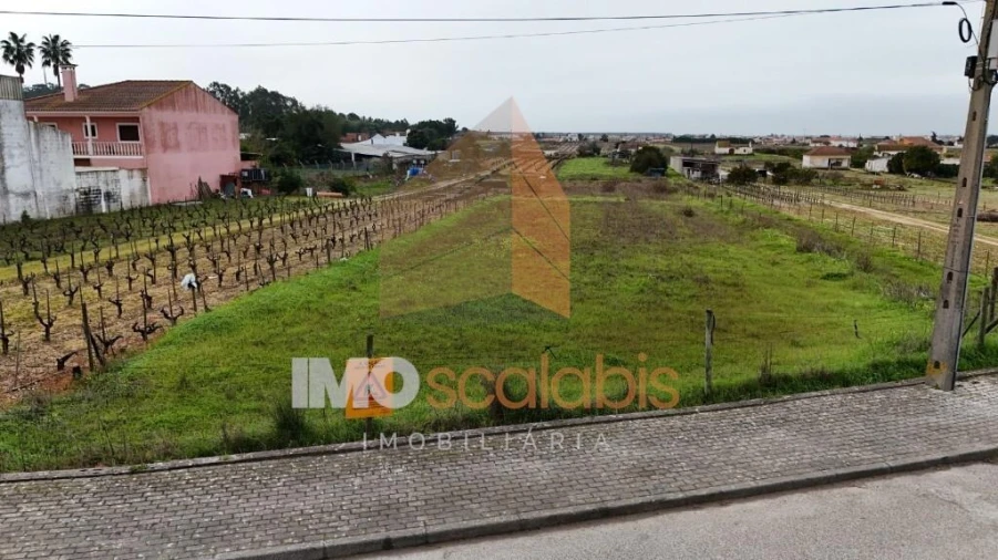 Terreno para Venda em Alpiarça Foto 3