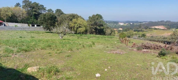 Terreno para Venda em Alcobaça e Vestiaria