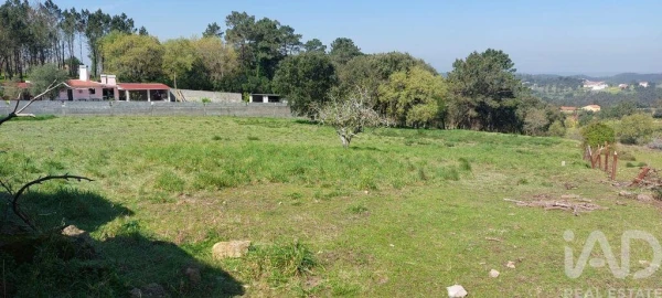 Terreno para Venda em Alcobaça e Vestiaria