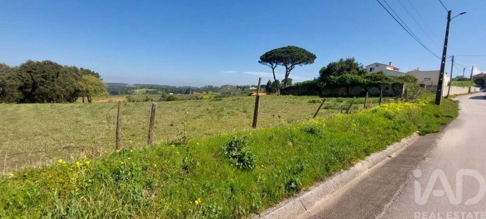 Terreno para Venda em Alcobaça e Vestiaria Foto 4