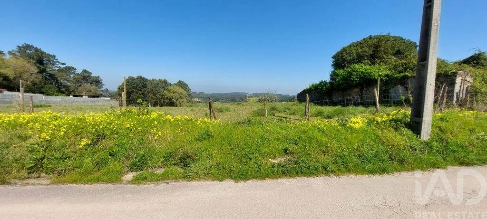 Terreno para Venda em Alcobaça e Vestiaria Foto 3