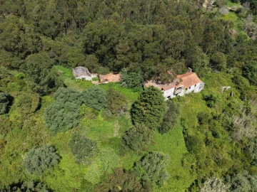 Quinta T3 para Venda em Tavarede