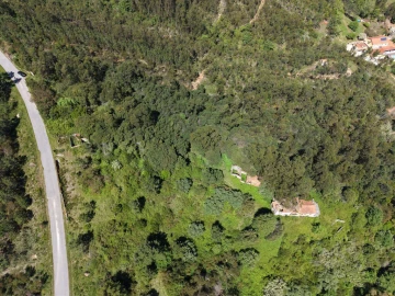 Quinta T3 para Venda em Tavarede